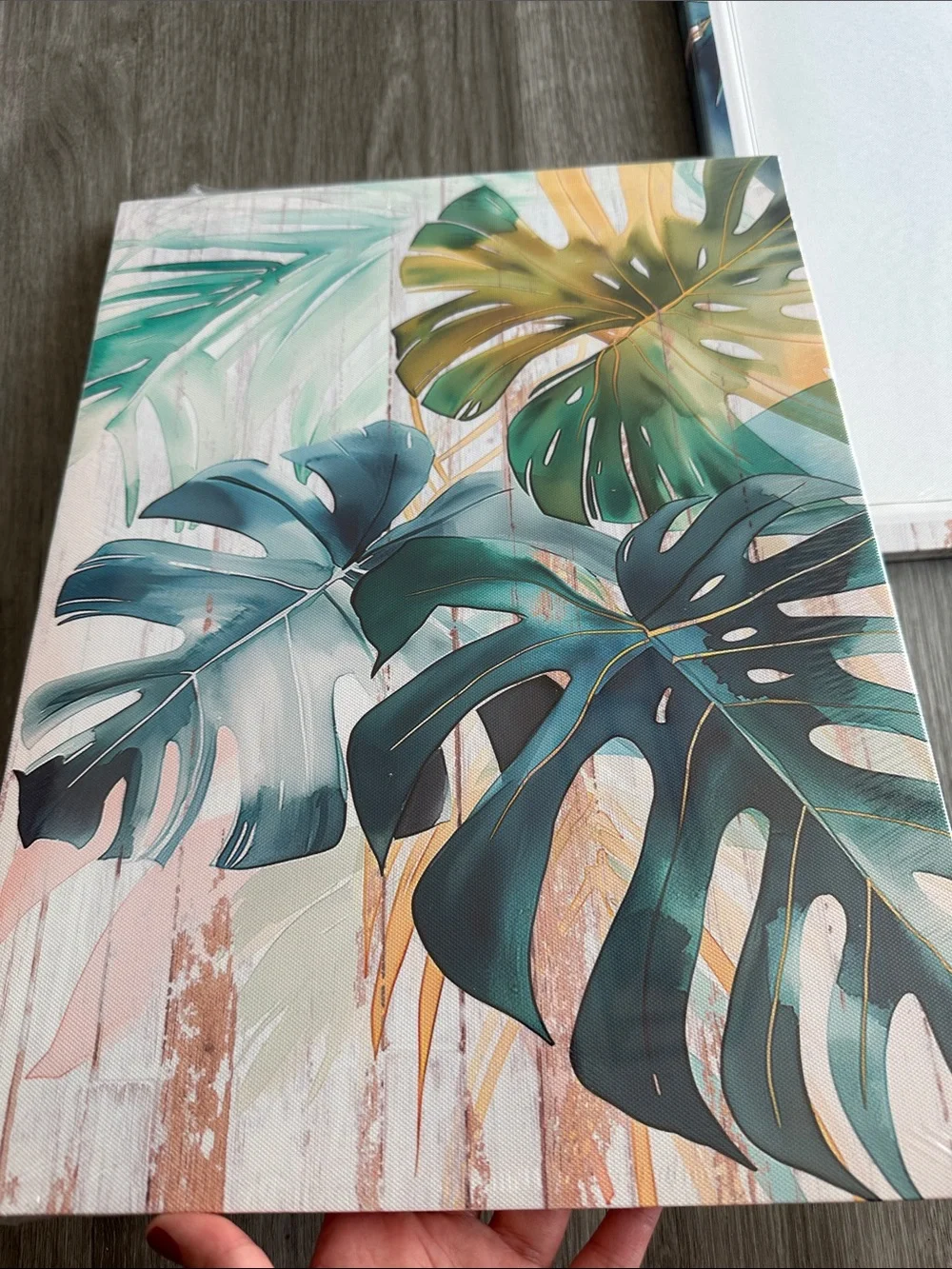 🆕 set of 3 12in x 16in Tropical Monstera Triptych Wall Art - Teal & Coral